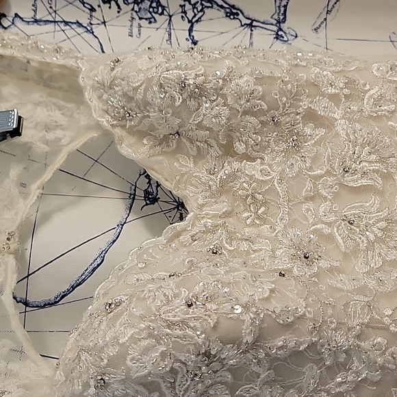 Sophia Tolli fully embellished and embroidered wedding dress - Picture 6 of 8